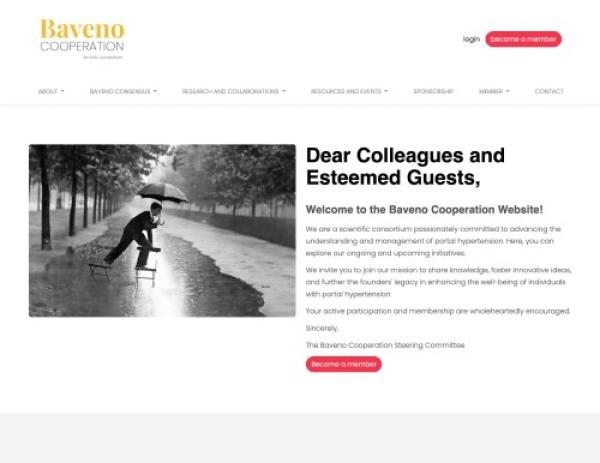 Baveno Cooperation - référence web Pixinside