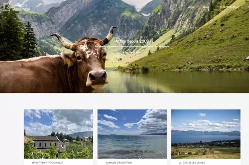 Site internet Immobilier - image 1